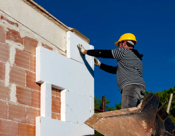 Best Home Insulation Services  in Farmers Branch, TX